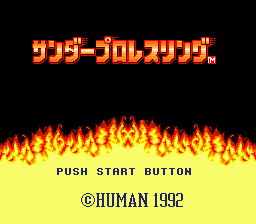 Thunder Pro Wrestling Retsuden